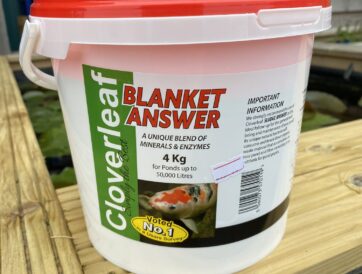 Blanket Answer Blanket Answer