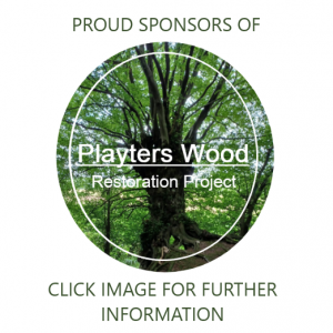playters wood logo 4