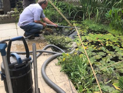 pond cleaning (3)